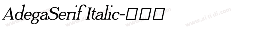 AdegaSerif Italic字体转换